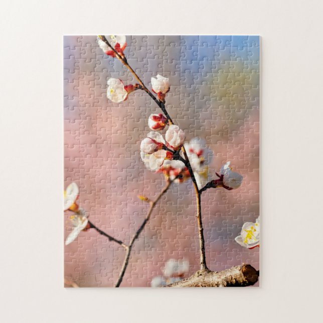 Buds of Japansk Apricot Flowers in Vår Pussel (Vertikal)