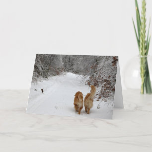 Budskapet Snö Kort