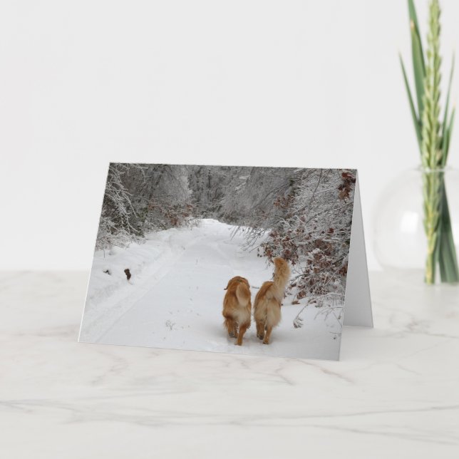 Budskapet Snö Kort (Framsida)