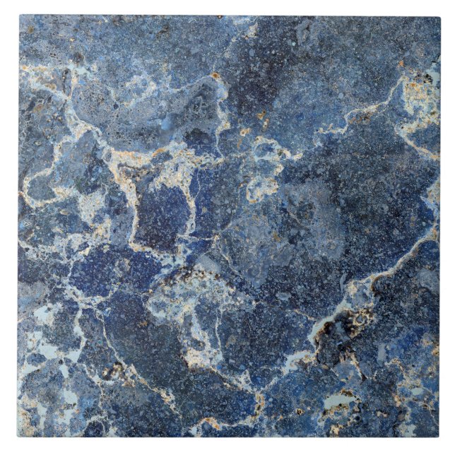 Bue Grått Black Marble & Beige Veins Kakelplatta (Framsidan)