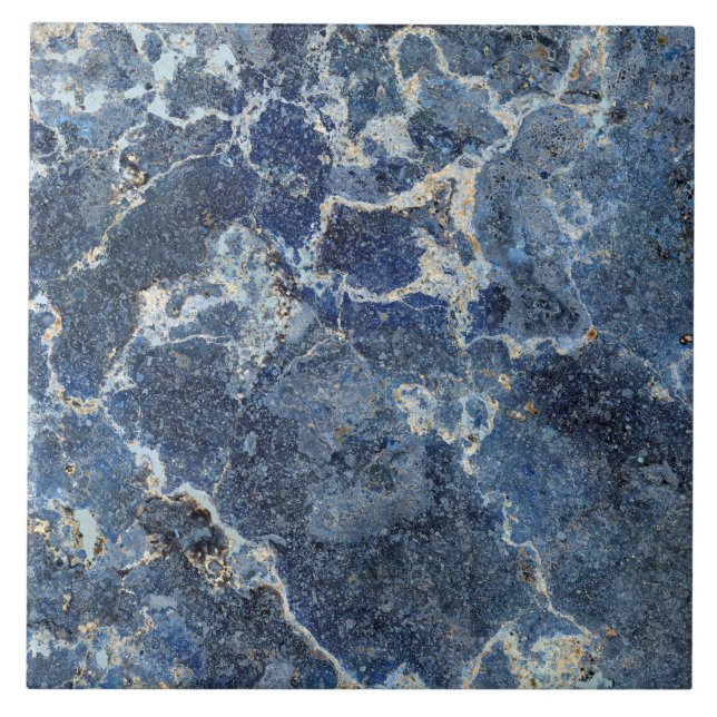 Bue Grått Black Marble & Beige Veins Kakelplatta (Framsidan)