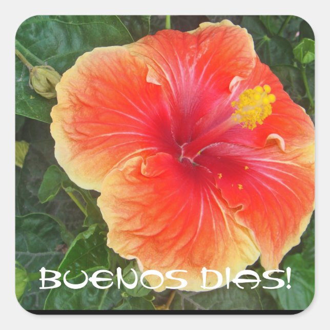 Buenos Dias Fyrkantigt Klistermärke (Framsida)