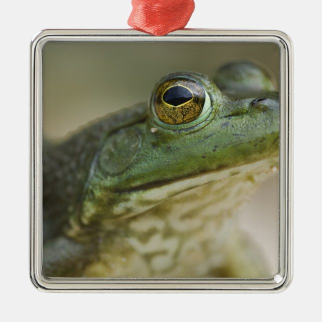 Bufallo National River, Northwest Arkansas Julgransprydnad Metall (Framsidan)