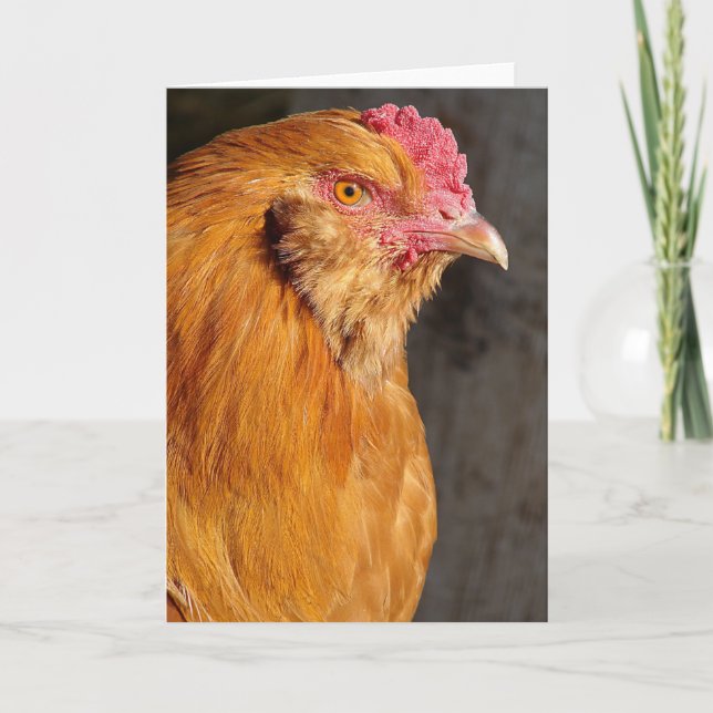 Buff Ameraucana Tupp Alla tillfällen Hälsningskort Helgkort (Framsida)