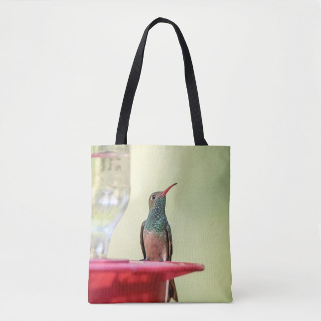 Buff-bellied hummingbird i Texas Tygkasse (Framsida)