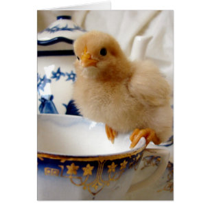 Buff Chick i Tea Hälsningskort
