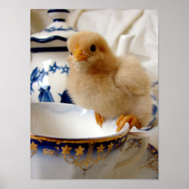 Buff Chick i Tea Poster