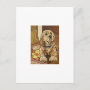Buff Cocker Spaniel Vykort
