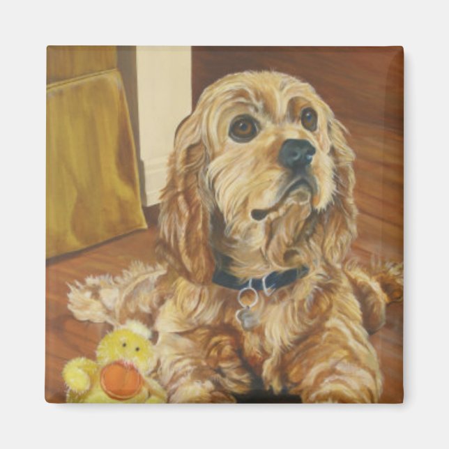 Buff Cocker Spansk Magnet (Framsidan)