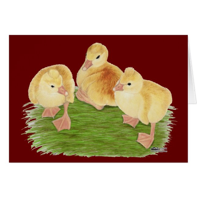 Buff Goslings Tuftad OBS Kort (Framsidan Horizontal)