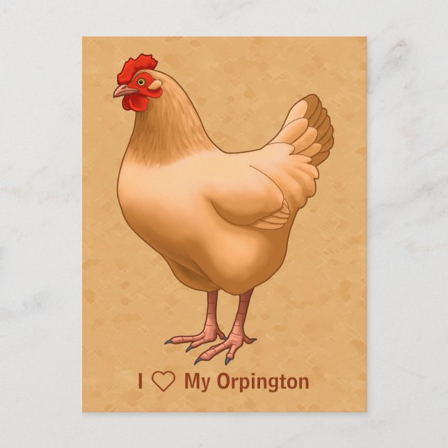 Buff Orpington Chicken Hen Vykort (Framsida)