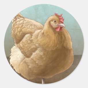 Buff Orpington Hen Stickers Runt Klistermärke