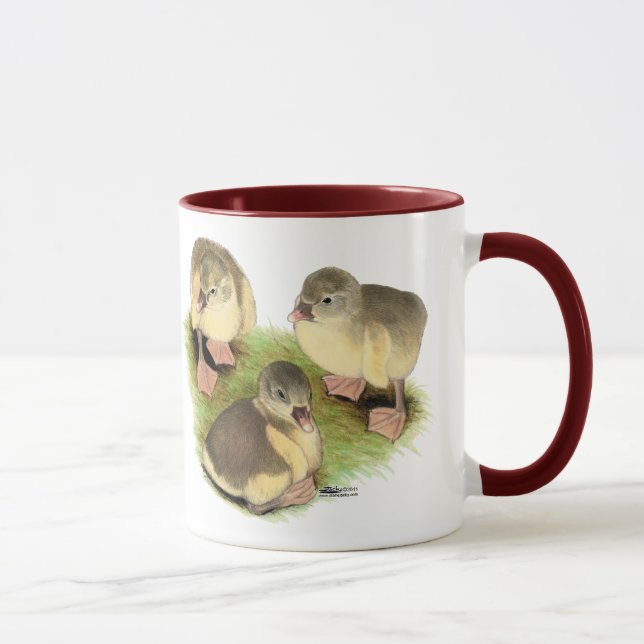 Buff Pomeranian-gässlingar Mugg (Höger)