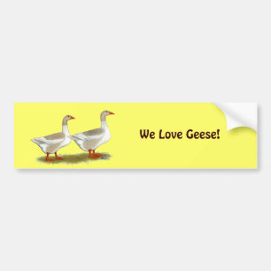 Buff Pommern Saddleback Geese Bildekal