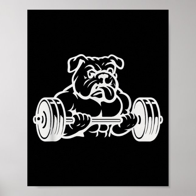 Buff Strong Bull Dog Lifting Weights  Poster (Framsidan)