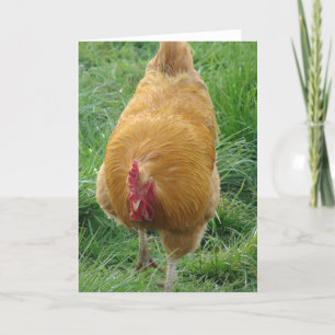 Buff Tupp Kort