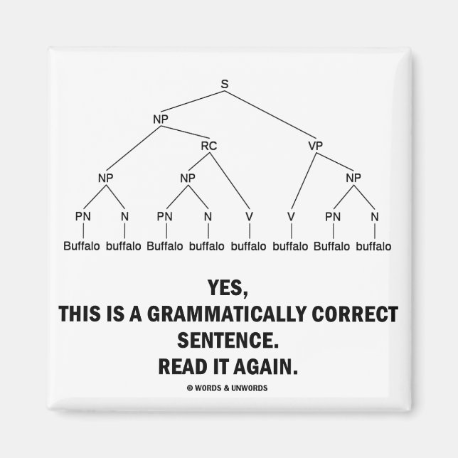 Buffalo (8 gånger) Grammatiskt korrekt meny Magnet (Framsidan)