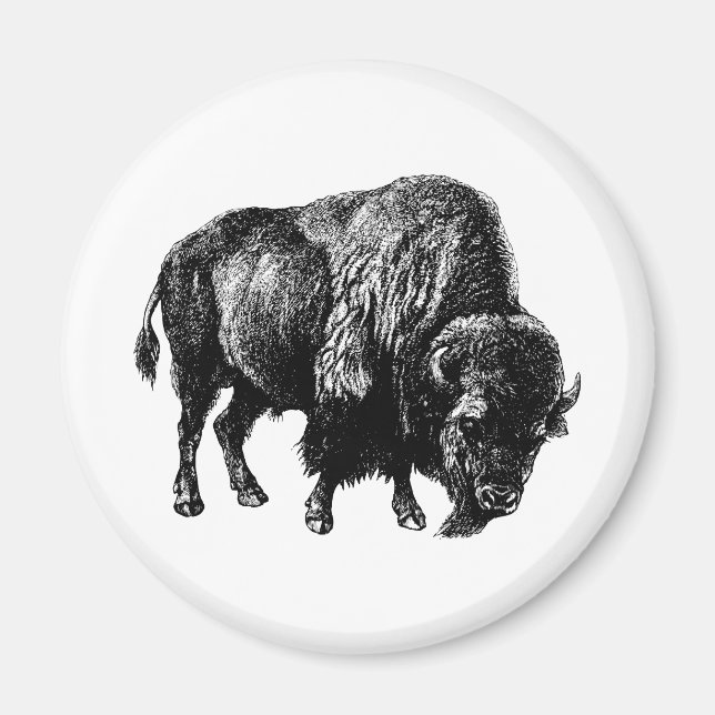 Buffalo American Bison Magnet (Framsidan)