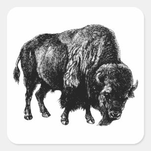Buffalo American Bison Vintage Wood Engration Fyrkantigt Klistermärke