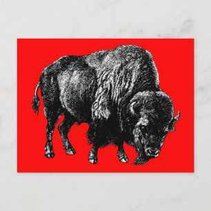 Buffalo American Bison Vintage Wood Engrave Vykort