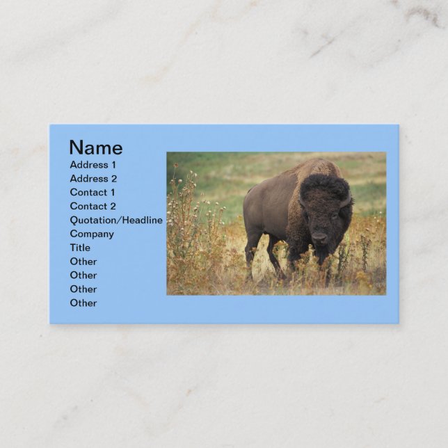 Buffalo Animal Art Indian Office Business Visitkort (Framsida)