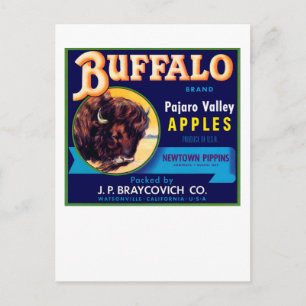 Buffalo Apples Vykort