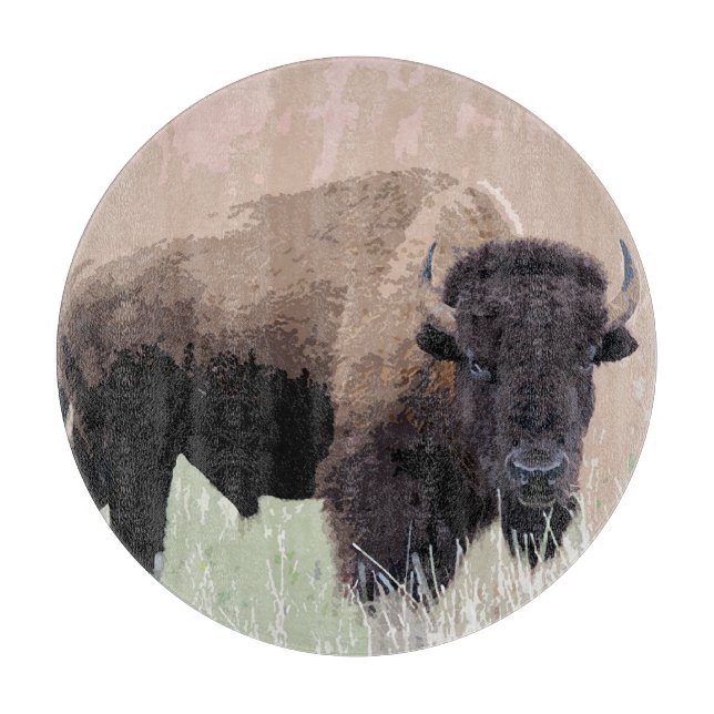 Buffalo / Bison (Framsidan)