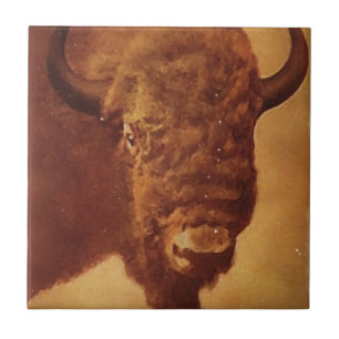 Buffalo / Bison Kakelplatta