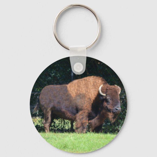 Buffalo (Bison) Kansas, Oklahoma, Wyoming Nyckelring (Framsida)