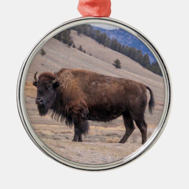 Buffalo Bison Oranment Julgransprydnad Metall (Framsidan)