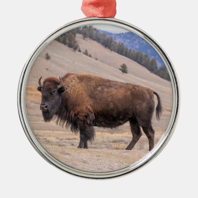 Buffalo Bison Oranment Julgransprydnad Metall (Framsidan)