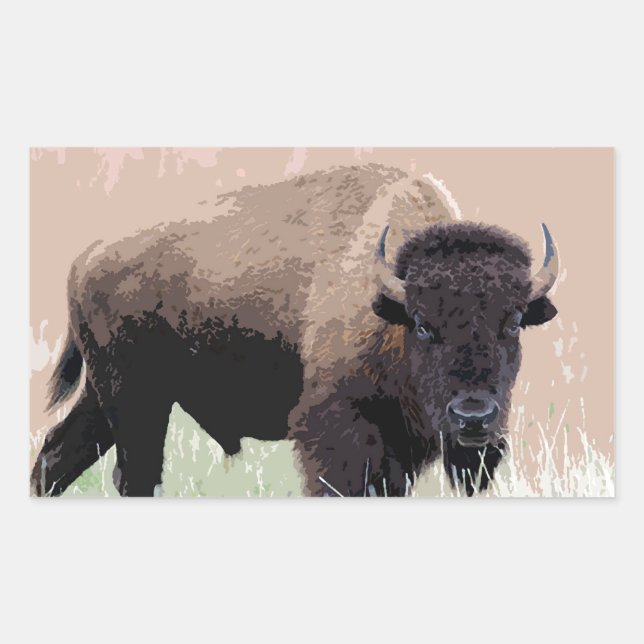 Buffalo / Bison Rektangulärt Klistermärke (Framsida)