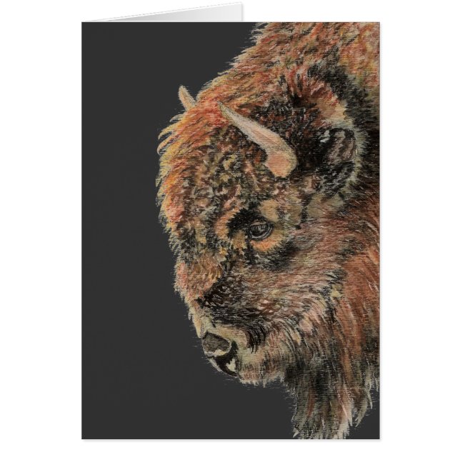 Buffalo, Bison, Watercolor Animal Hälsningskort (Framsidan)