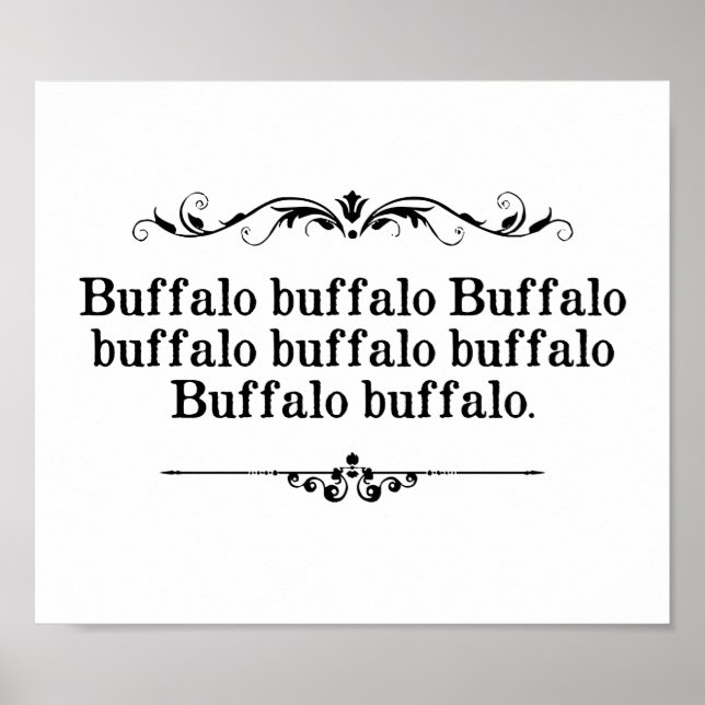Buffalo Buffalo Sentence Poster (Framsidan)