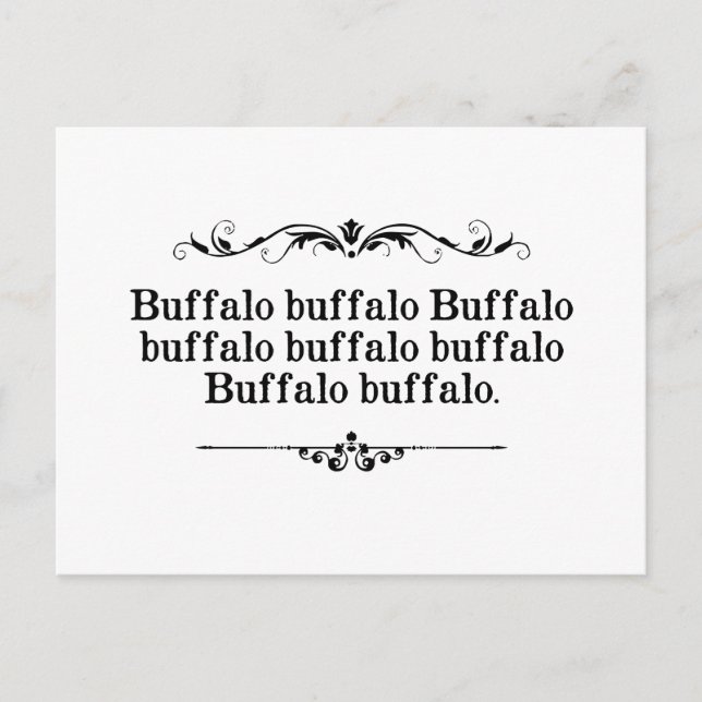 Buffalo Buffalo Sentence Vykort (Framsida)