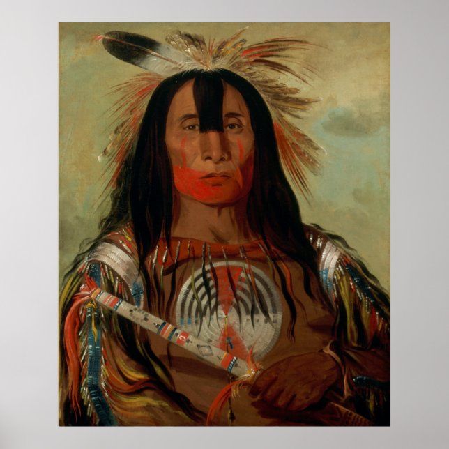 Buffalo Bulls Tjock Head Blood Tribe Poster (Framsidan)