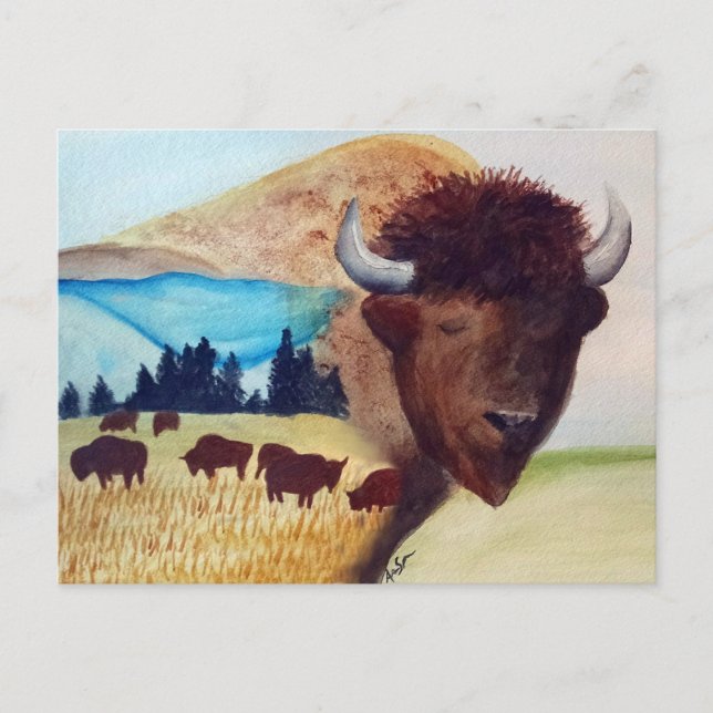 Buffalo Dream Postcard Vykort (Framsida)
