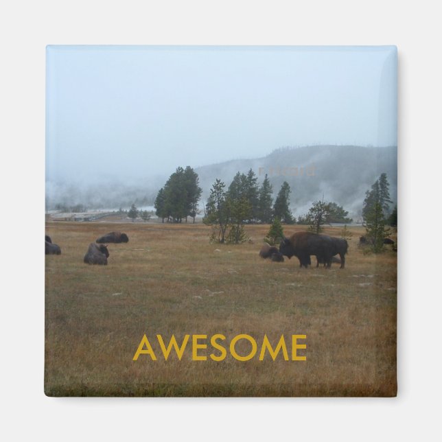 Buffalo Fantastisk Magnet (Framsidan)