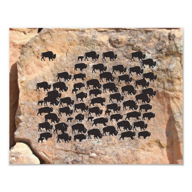 Buffalo Fototryck (Framsidan)