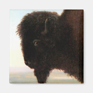 Buffalo Head art Albert Bierstadt bison-målning Magnet