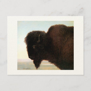 Buffalo Head art Albert Bierstadt bison-målning Meddelande