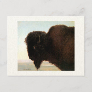 Buffalo Head art Albert Bierstadt bison-målning Meddelande