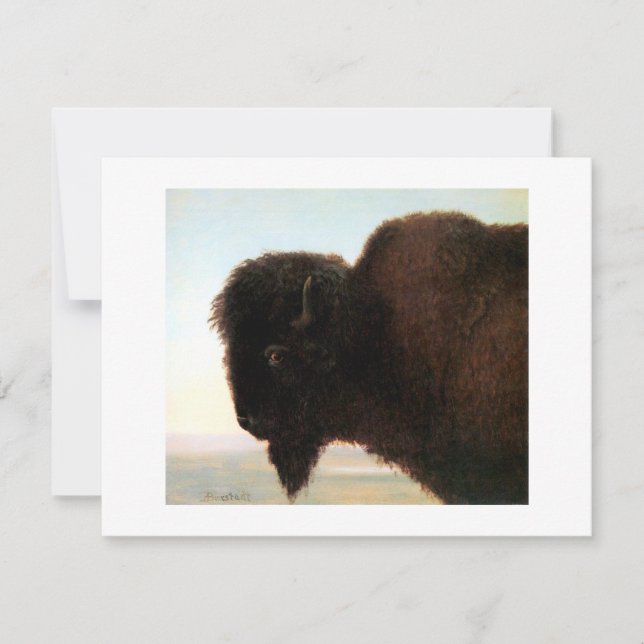 Buffalo Head art Albert Bierstadt bison-målning Meddelande (Framsida)