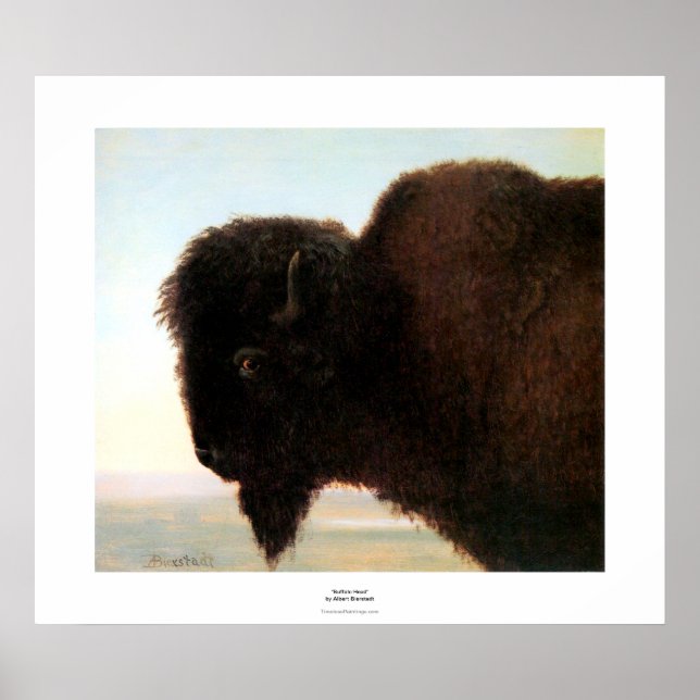 Buffalo Head art Albert Bierstadt bison-målning Poster (Framsidan)
