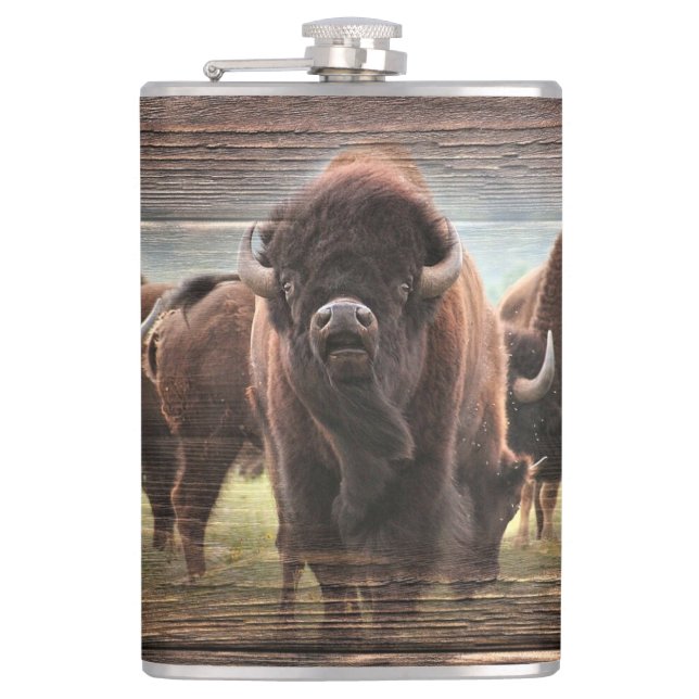 Buffalo Herd Fickplunta (Framsidan)