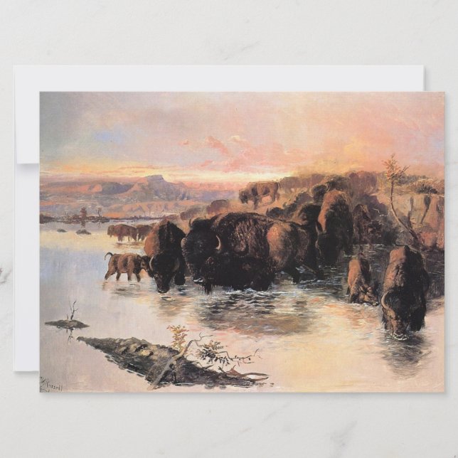 Buffalo Herd Kort (Framsida)
