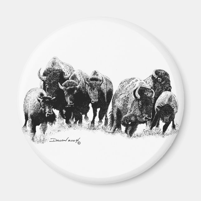 Buffalo Herd Magnet (Framsidan)
