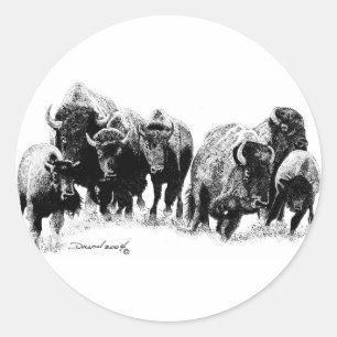 Buffalo Herd Runt Klistermärke