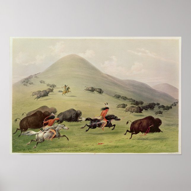 Buffalo Hunt, 1832 Poster (Framsidan)