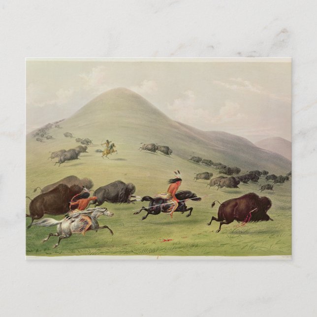 Buffalo Hunt, 1832 Vykort (Framsida)